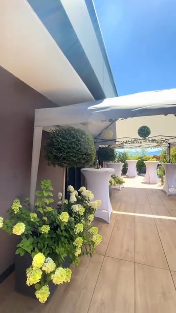 Décor végétal pour une terrasse
